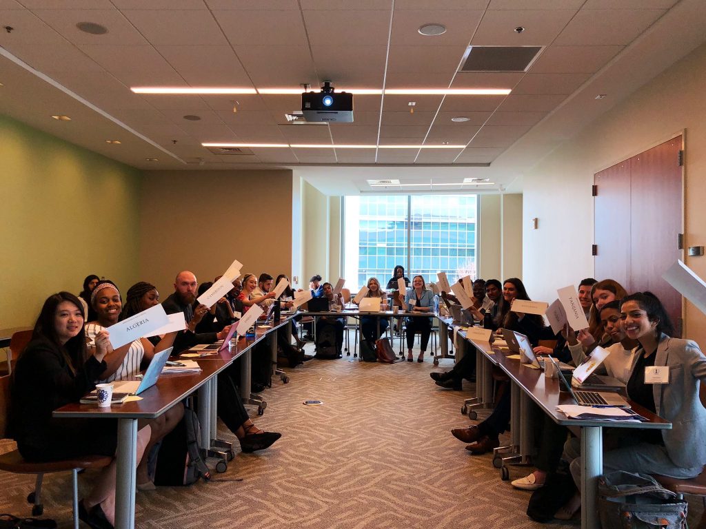Students from around the world sit around conference tables holding country placards during an AMWHO public health conference session.